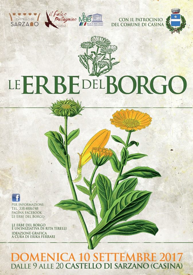 Le erbe del borgo